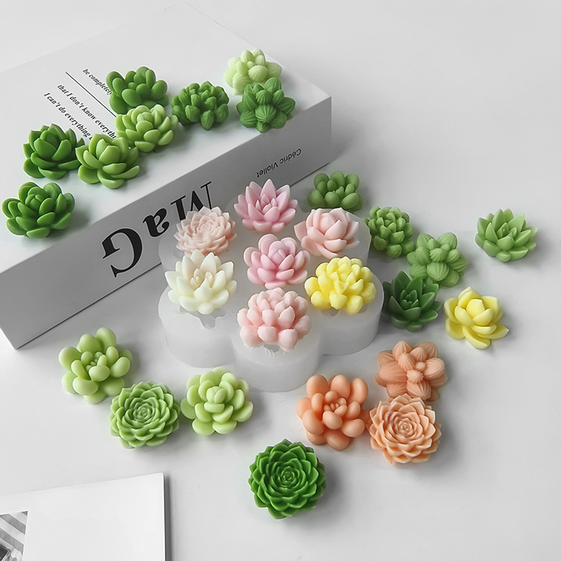 7 In1 Succulent Cactus Silicon - огляд і ціна Soap Making At Home