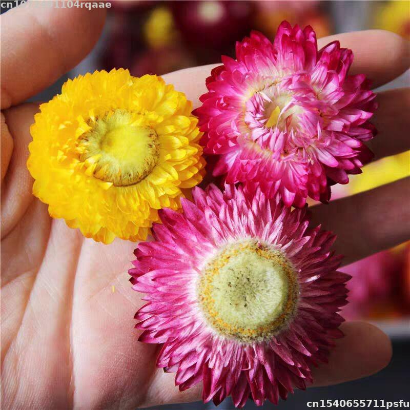 100% Natural Dried Flowers Bra - огляд і ціна Soap Making Material Wholesale