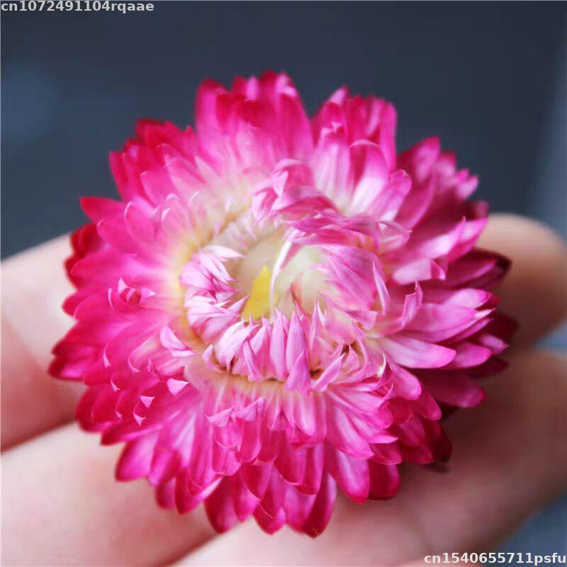 100% Natural Dried Flowers Bra - огляд і ціна Soap Making Material Wholesale